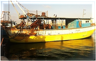 clip_image006 clip_image006