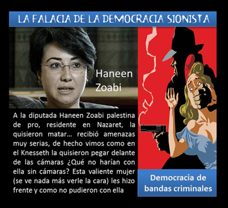 LA FALACIA DE LA DEMOCRACIA