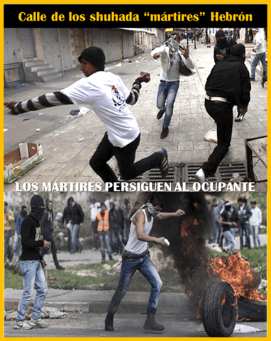 LOS M&Aacute;RTIRES PERSIGUEN AL OCUPANTE