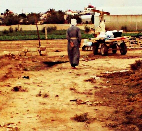 clip_image003 clip_image003