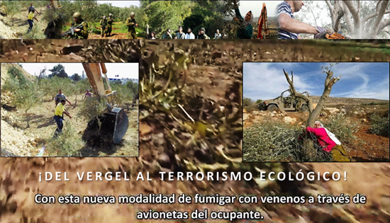 DEL VERGEL AL TERRORISMO ECOLÓGICO