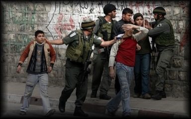 clip_image003 clip_image003