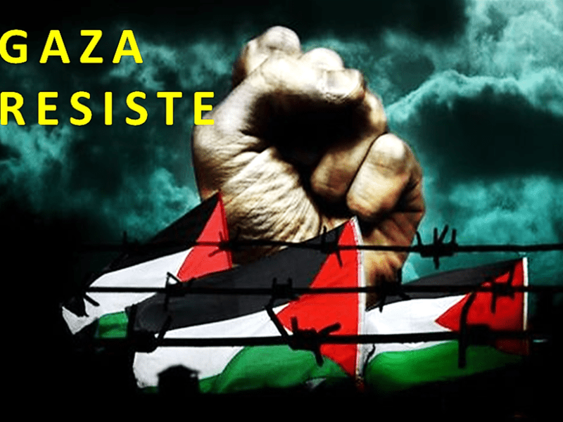 غَزَّةَ اَلصُّمُودْ Gaza&nbsp;resiste
